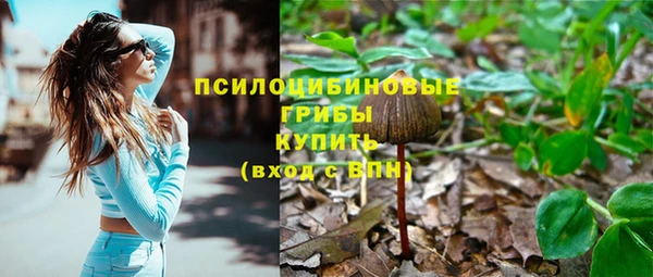 круглые Болотное