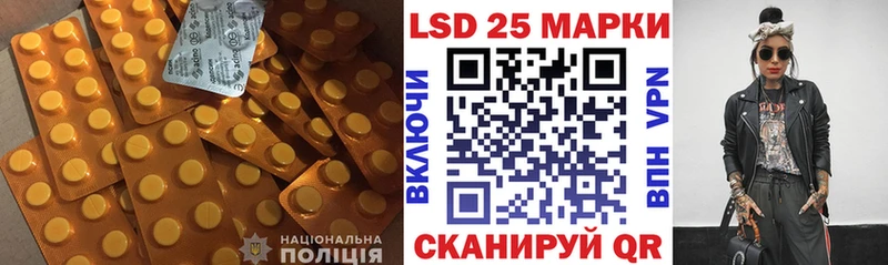 mega рабочий сайт Выборг Лсд 25 экстази кислота