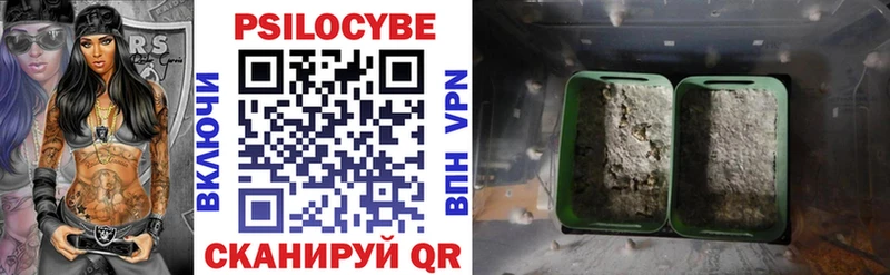 хочу   Выборг  Псилоцибиновые грибы мухоморы 