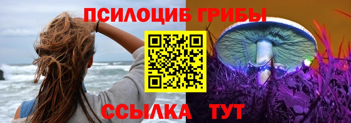 Выборг  Галлюциногенные грибы ЛСД  Вход с VPN 